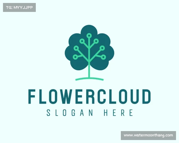 了解FlowerCloud